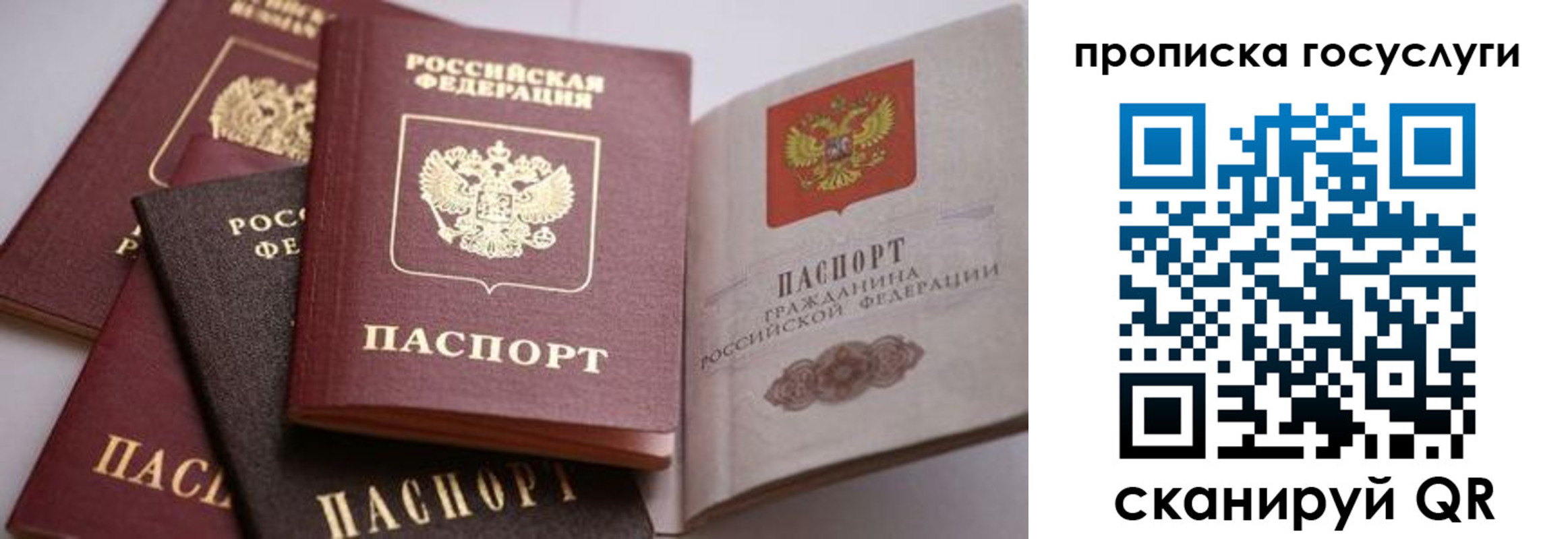 прописка иностранных граждан в Ясногорске