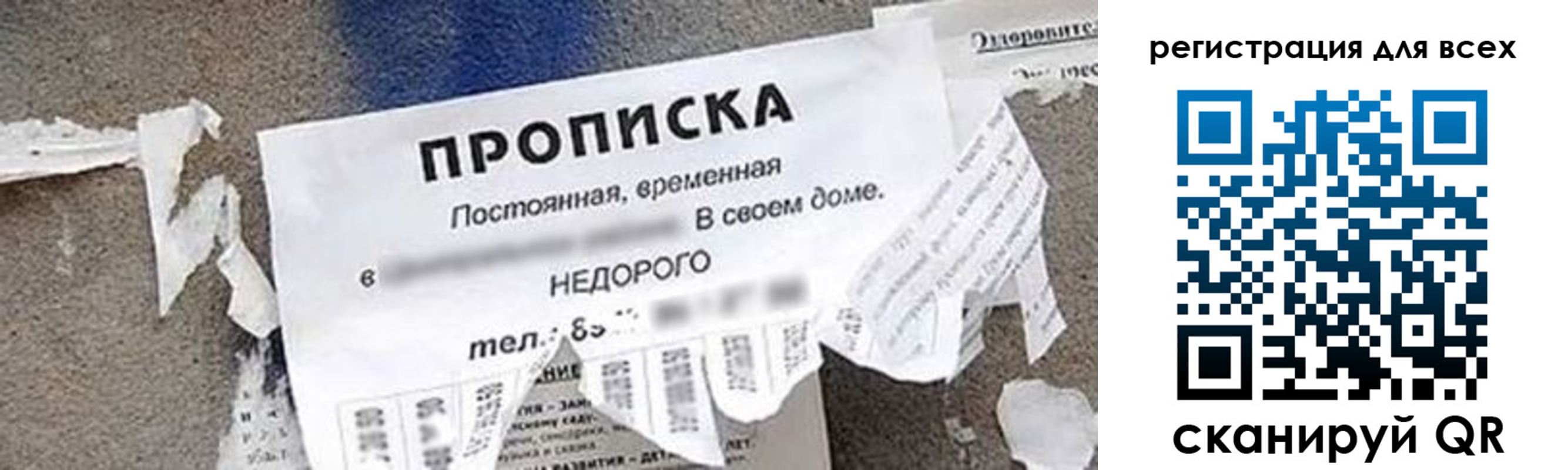прописка поиск в Ясногорске